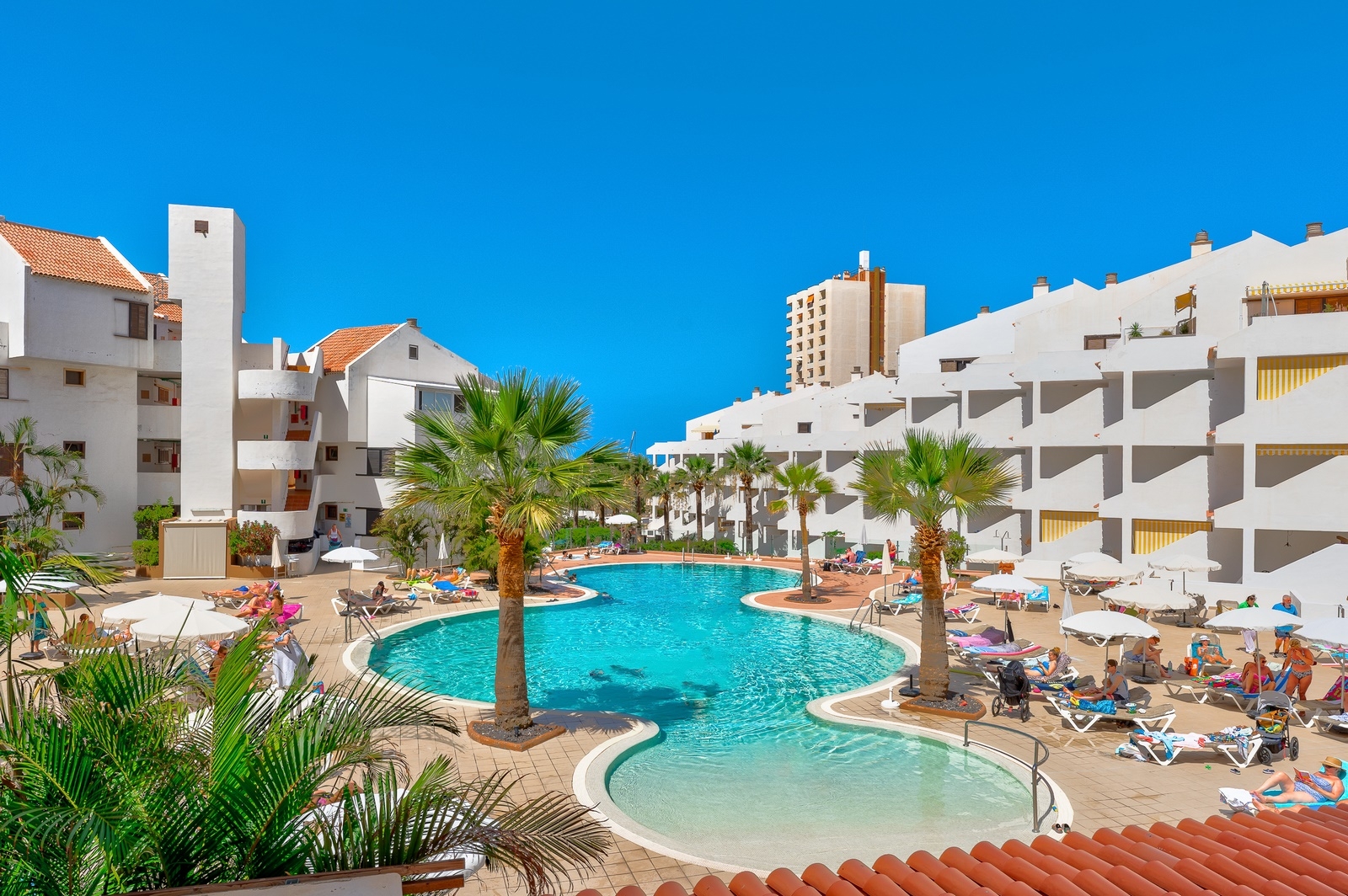 1 Dormitorio | Paloma Beach